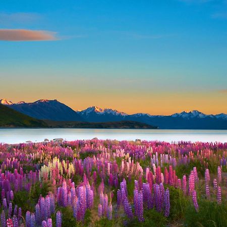 Lake Views At Antler Lodge Lake Tekapo Bagian luar foto