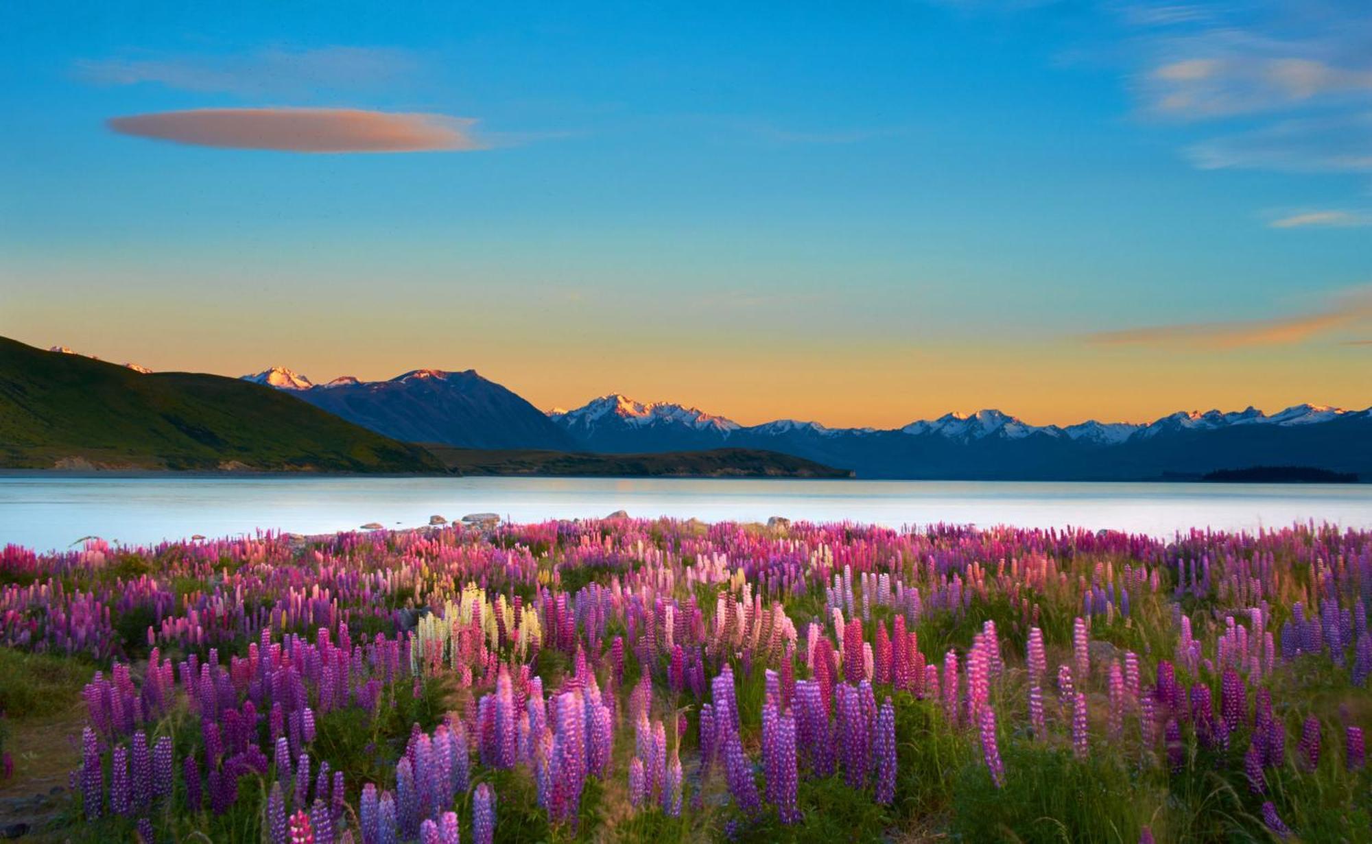 Lake Views At Antler Lodge Lake Tekapo Bagian luar foto